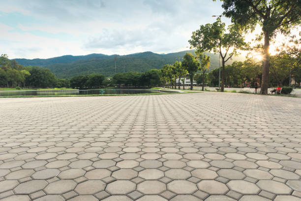 Best Professional Driveway Pavers  in Sardis, MS